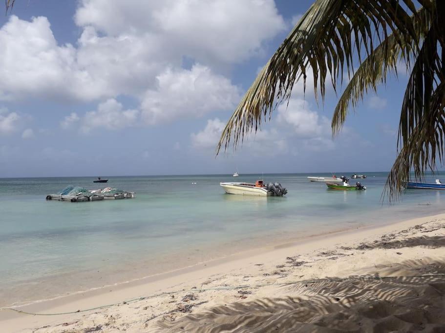 Hébergement de vacances Au Bout Du Reve - Le Gosier