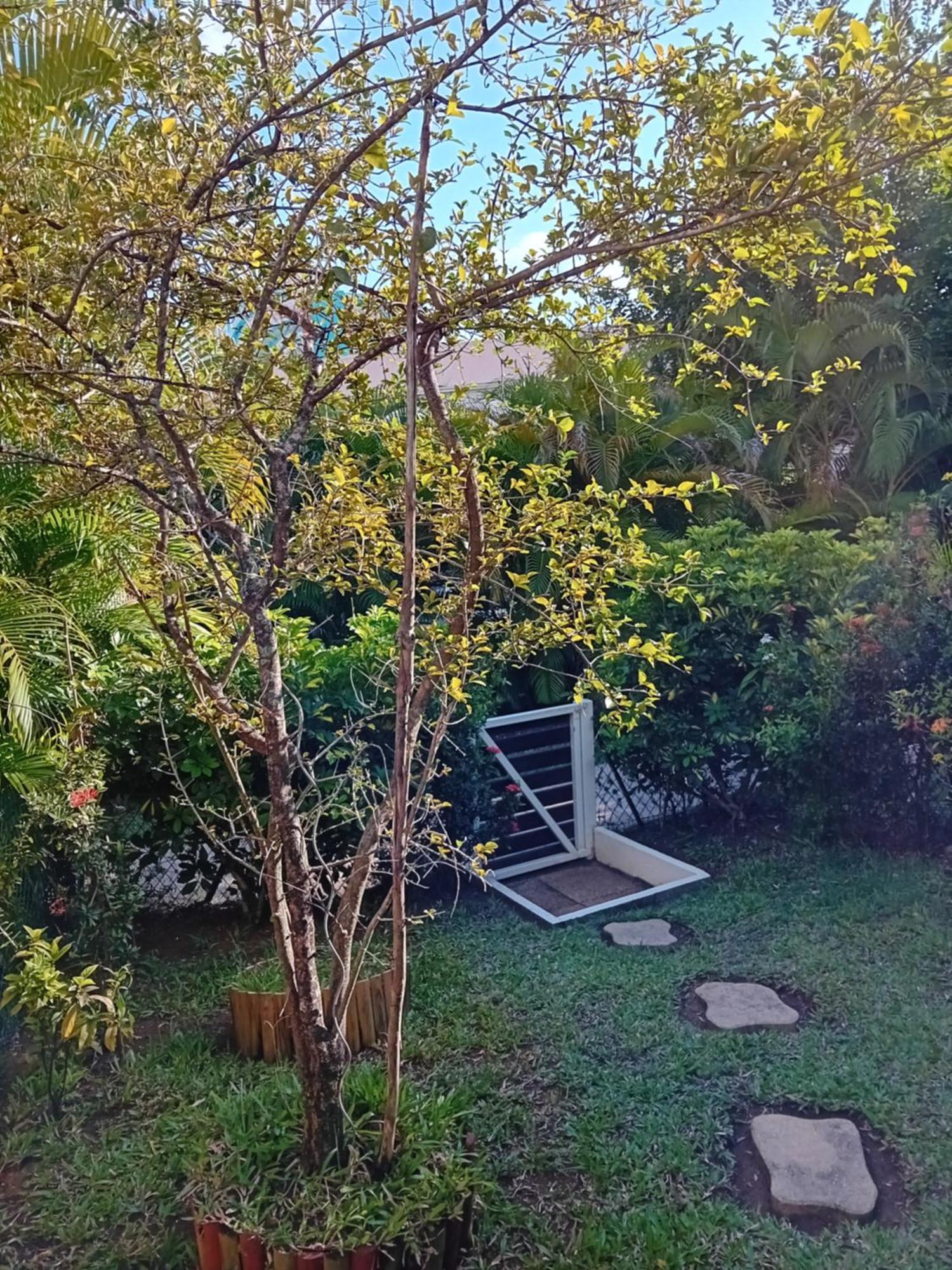 Hébergement de vacances Au Bout Du Reve - Le Gosier Le Gosier (Grande-Terre)